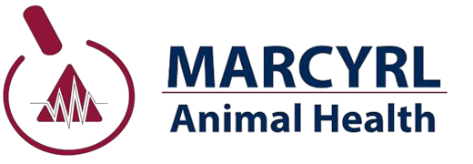 Marcyrl